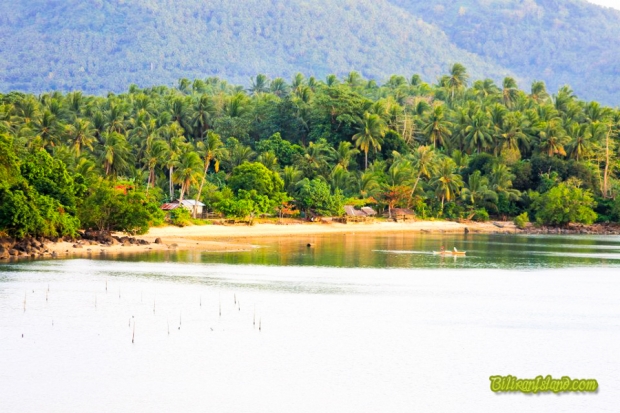 Omas Beach