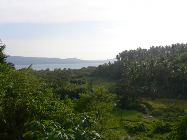 quite afternon in bato