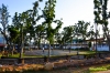 BiliranPlaza-1.jpg
