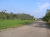 P1060342.jpg