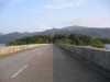 P1060351.jpg