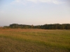P1060375.jpg