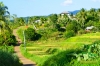 batobiliran-1.jpg