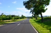 biliranbusaliroad-1.JPG