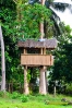 treehouse-1.jpg