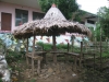 MNVS_and_Church_COmbined_076.jpg