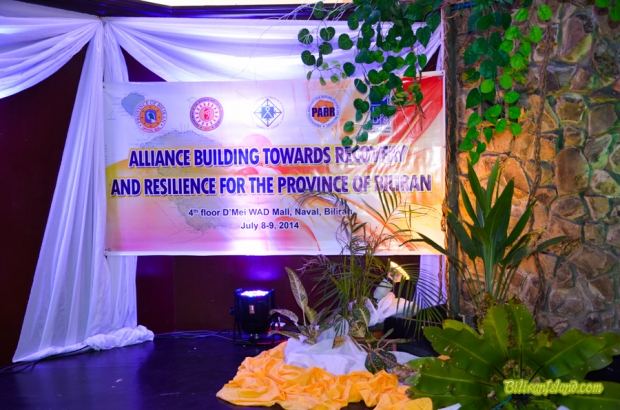 Alliance Building Towards Recovery and Resilience