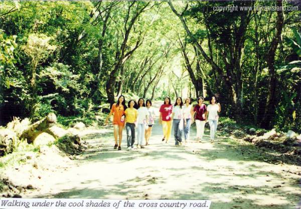 walking under the cool shades