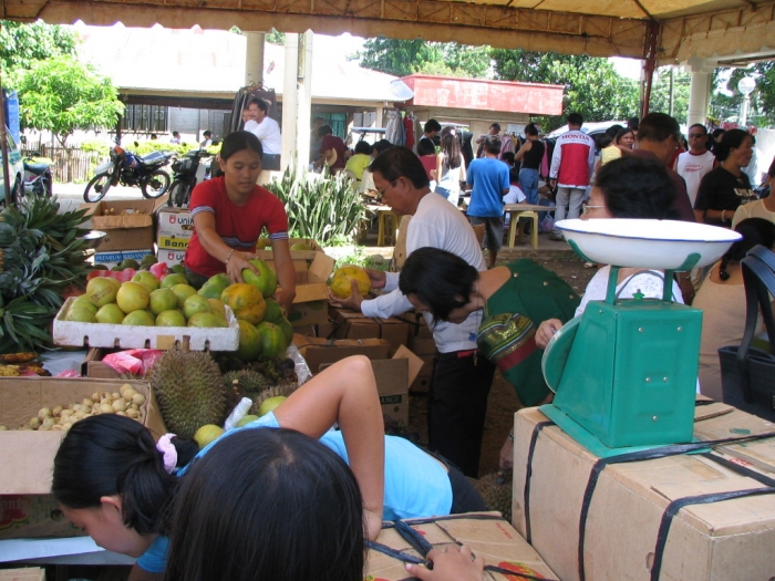 AgriFair1
