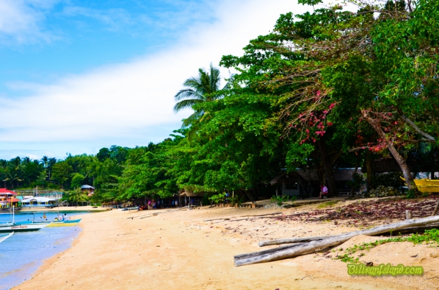 Coco Grove Beach Resort