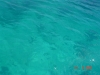 DSC03075.JPG