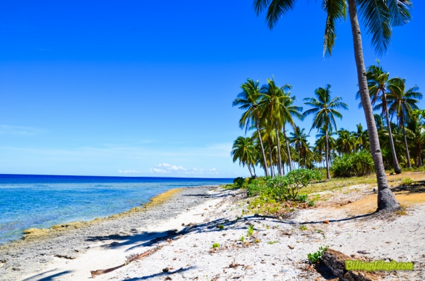 Higatangan Island