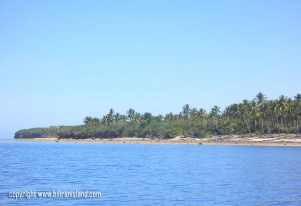 Higatangan Island