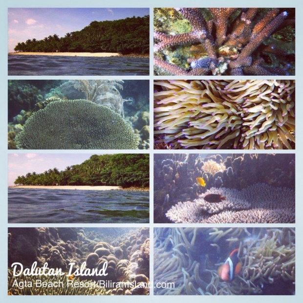Dalutan Skin Dive