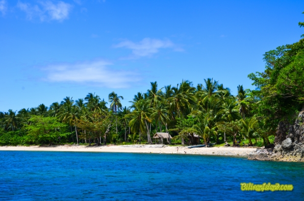 Capinahan Island