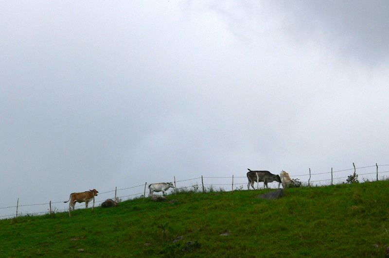 Mt Panamao Trek