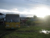 newbuses.jpg