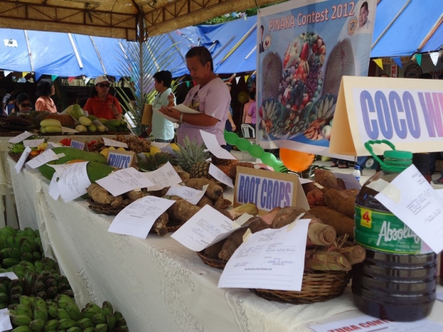 20th Biliran provincehood anniversary