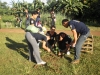 bfptreeplanting.jpg