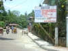 mayorsusanproject.jpg