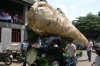 sumanfestival4.jpg
