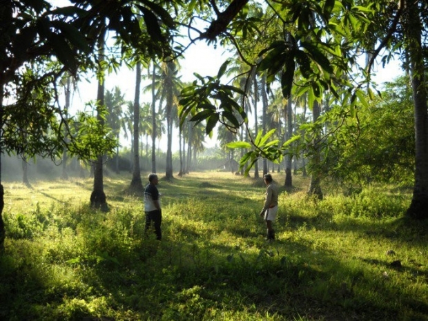 ANCIENT CEMETERY SITE