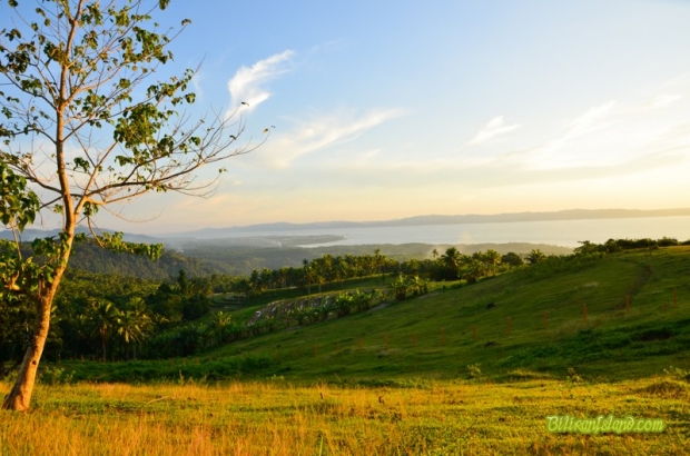 View from Caucab