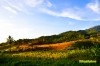 biliran-2.jpg