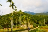 biliran-5.jpg