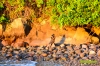 capturingbiliranisland-1.jpg