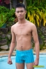 AndreJosePates-1.jpg