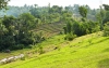 BethanyHill10.jpg
