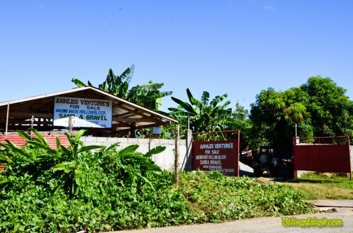 Annles Venture's